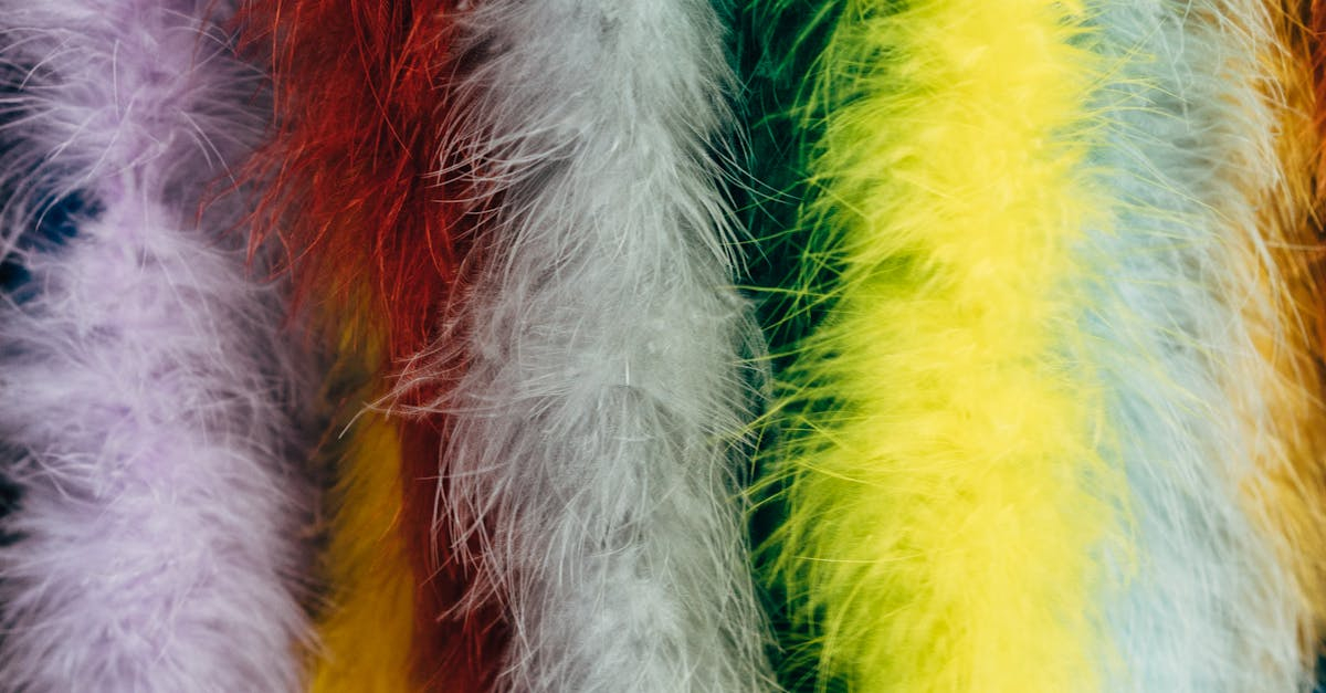 Feather Boas Comparison: Rubie's vs SACASUSA