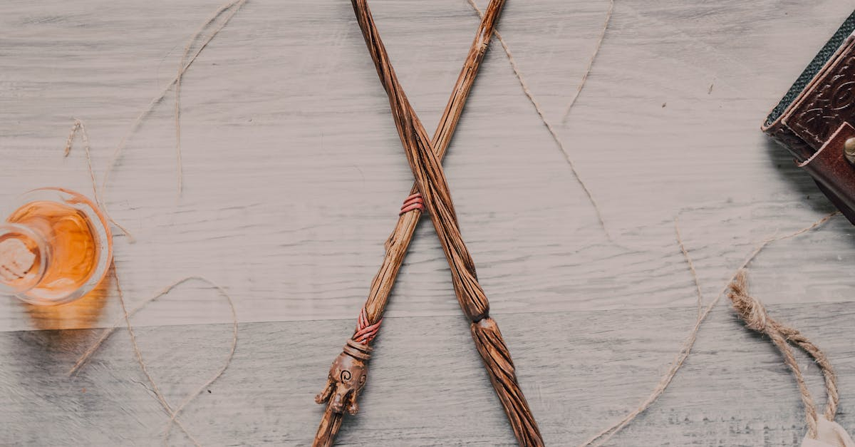 Magical Comparison of Harry Potter and California Costumes Wands